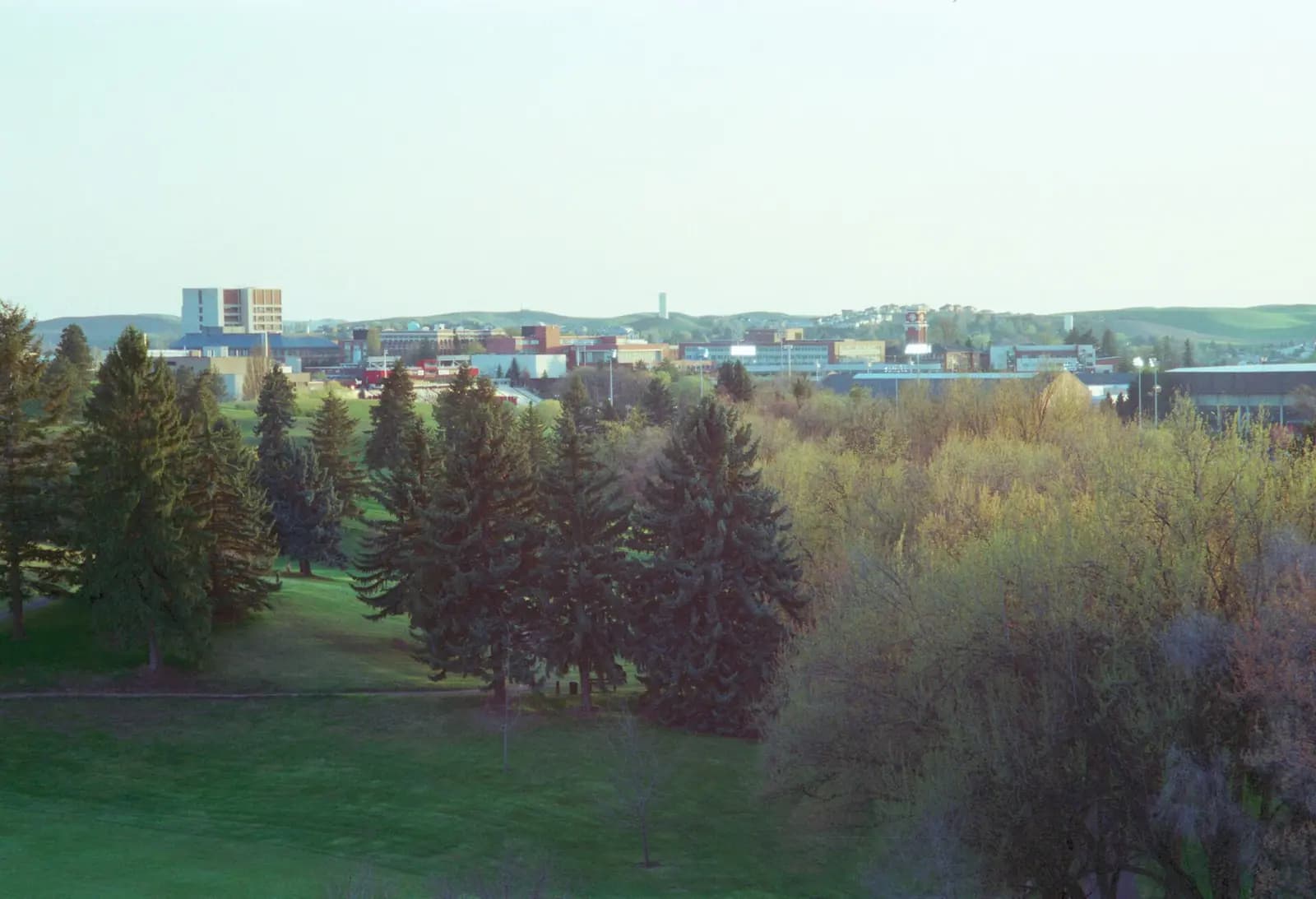 Pullman, Washington: 02 07 04, round top park   panoramio