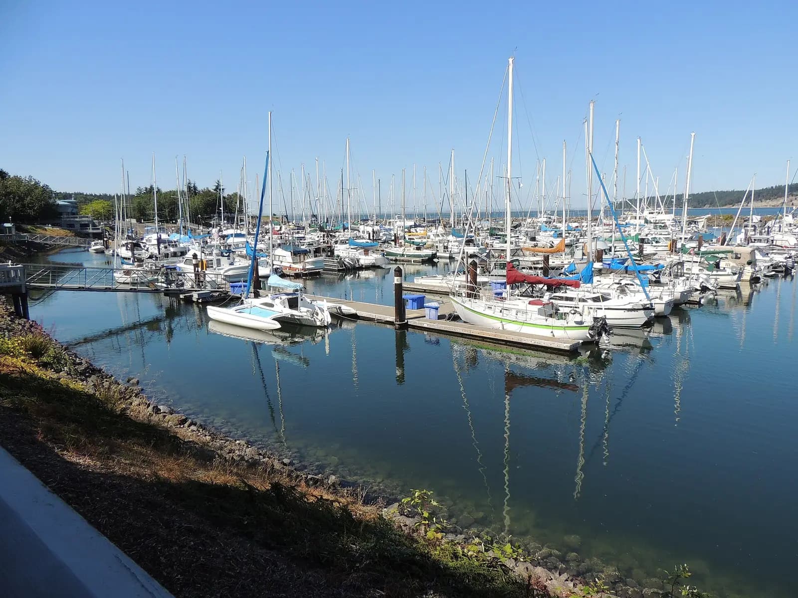 Sequim, Washington: John Wayne Marina   Sequim Washington