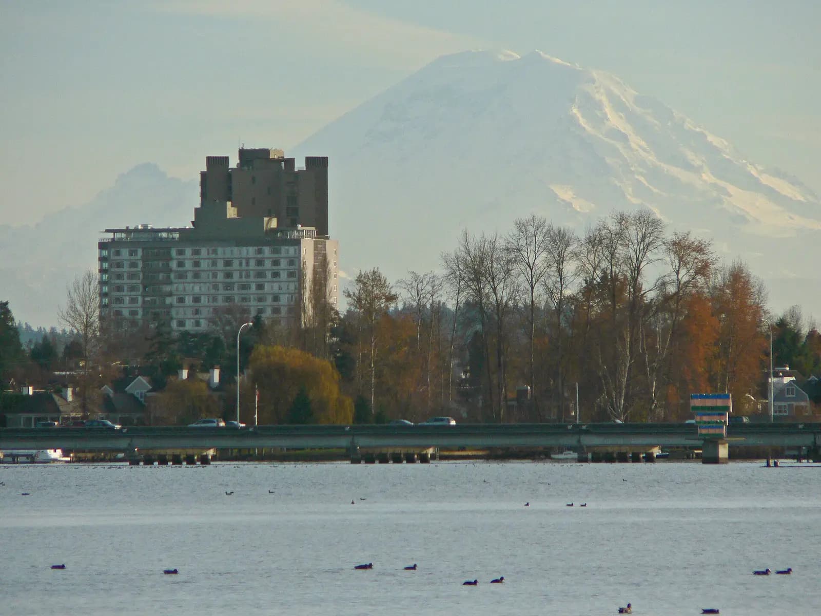 Madison Park, Seattle: Mount Rainier 27477