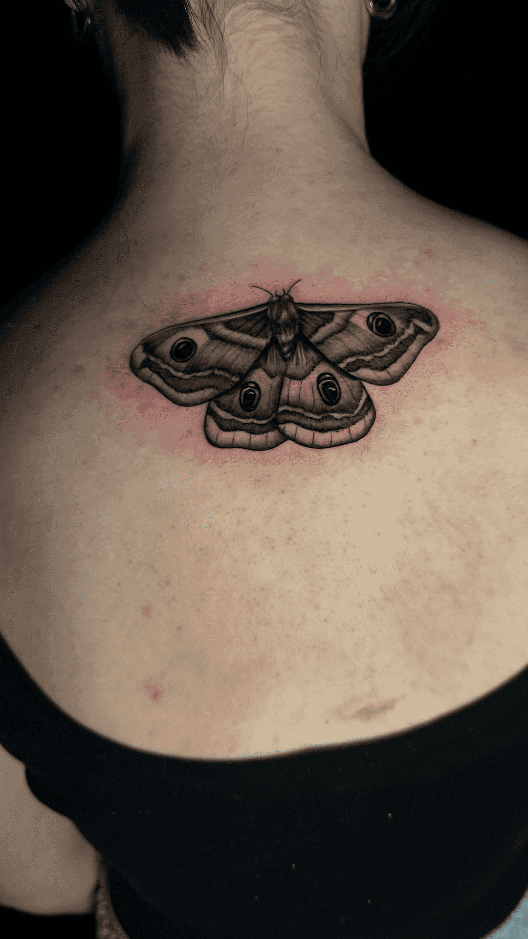 Small black-and-grey moth tattoo on the upper back
