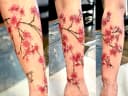 Susan Crofts, from Mom's Custom Tattoo & Body Piercing’s website