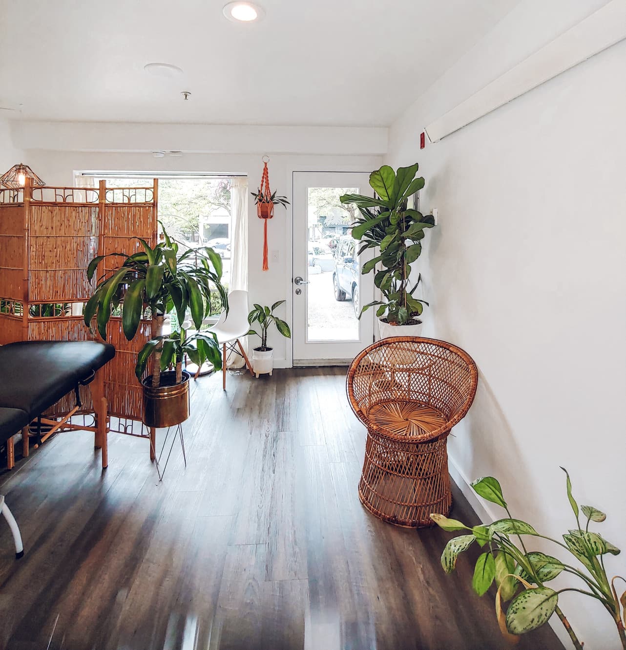 Lammergeier Studio studio photo